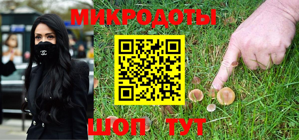 Галлюциногенные грибы мицелий  Псилоцибиновые грибы Magic Shrooms  закладка  Вход с VPN  Нальчик 