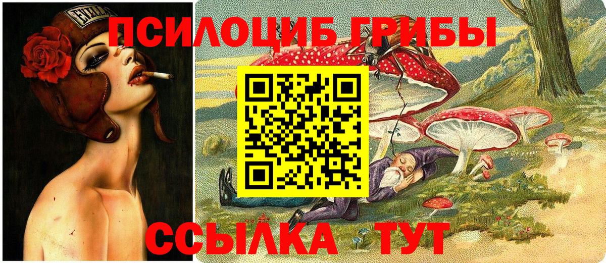 Галлюциногенные грибы Cubensis Нальчик